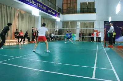 羽毛球亚团 羽毛球亚团