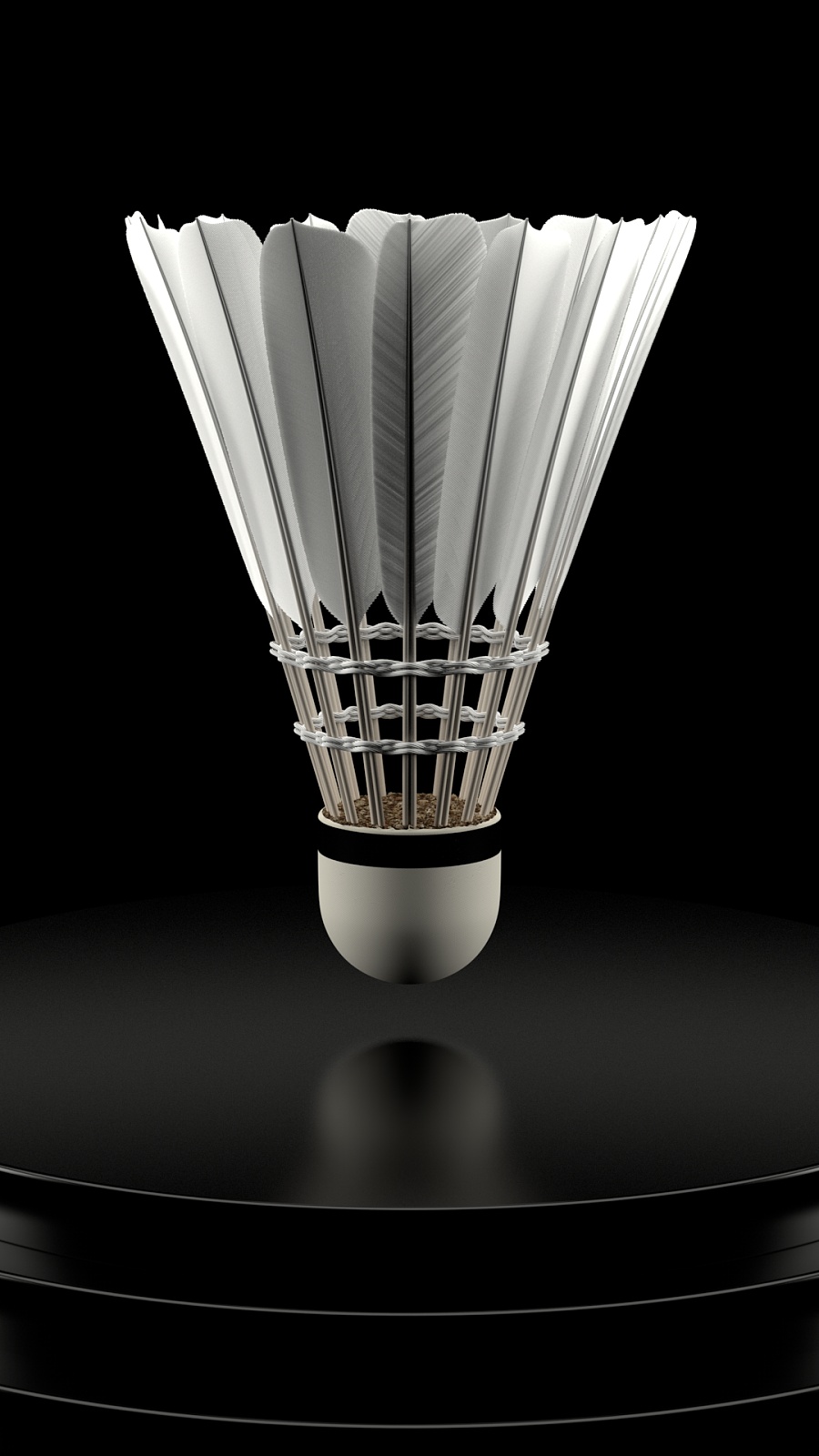 沂吉诺尔体 沂吉诺尔体