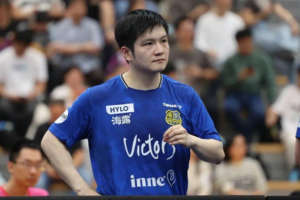 的反扑打乱 的反扑打乱